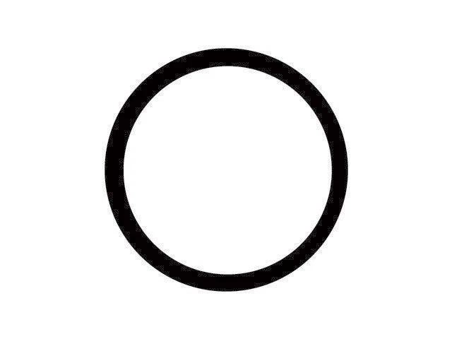 Junta tórica termostato 56ZJ89G para Chrysler PT Cruiser 2001-2010 2,4 L 4 cilindros GAS Foto 1 de 1