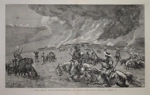 AFRICA - THE ZULU WAR - DABULAMANZI'S KRAAL.  "THE GRAPHIC" 1879. - Picture 1 of 1