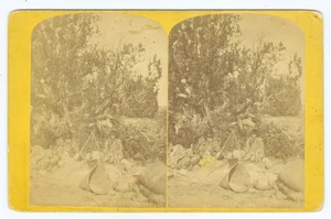D0603~ ARIZONA JK Hillers Pai Ute Indian c.1873 Powell Survey Stereoview - Imagen 1 de 2