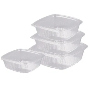 Hinged Lid Salad Container Clear Plastic Food Takeaway Storage Container - Picture 1 of 6