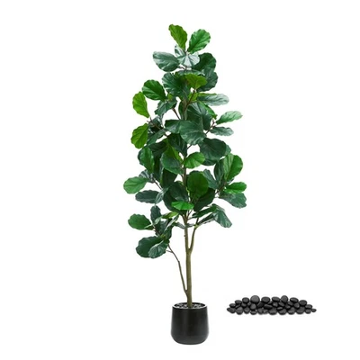 Hoja de violín artificial higuera: 6 pies de alto imitación ficus lirata planta higuera falsa... Foto 1 de 4