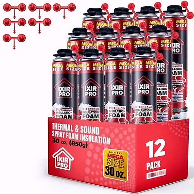 Spray Foam Insulation Can (12 x 30 oz. / 850 g) Expanding Sealant, High Density - Image 1 of 4