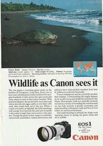 1989 printed ad Canon EOS 1 Wildlife as Canon season Green sea turtle ad 10x7 in - Picture 1 of 5