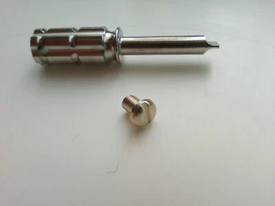 Tornillo de repuesto de plata de ley con destornillador Foto 1 de 2