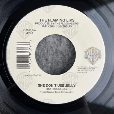 THE FLAMING LIPS She Don't Use Jelly / Turn It On 45 WB 7-18131 NEW UNPLAYED - Image 1 of 4