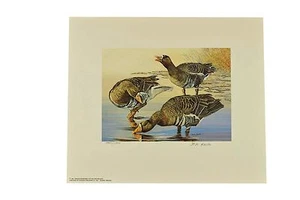 1987 Oregon Waterfowl White Fronted Geese Print- Signed - Numbered D.M Smith - Picture 1 of 5