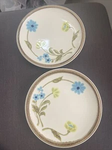 2 Vintage Mikasa Nature's Gallery Country Living Blue Floral 8” Salad Plates - Picture 1 of 8