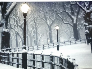 Peter Pauper Press Christmas Cards Glitter Snow Eileen Kennedy 17 With Envelopes - Picture 1 of 3