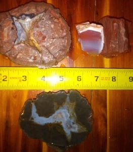 Thunder Egg And Petrified Wood Lot Lapidary - Picture 1 of 9