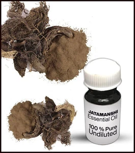 Jatamanshi Essential Oil 100% Pure Undiluted (10ML-500ML) - Picture 1 of 1