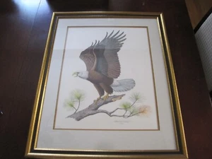 ALBERT EARL GILBERT "The American Bald Eagle" 1976 Signed Engraving 25x31" - Picture 1 of 4