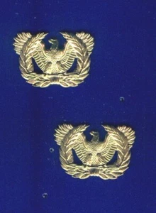 PAIR ARMY WARRANT OFFICERS COLLAR PINS - Picture 1 of 1