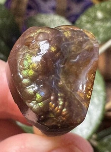 Finestra grezza agata di fuoco collezione personale colore brillante naturale non trattata 02 - Foto 1 di 21