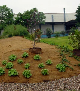 GREENFIX Mulchmatte gegen Unkraut für Ihren Garten- NEU - 2,40 x 30 m = 72 m² - Bild 1 von 1