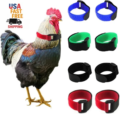 Paquete de 8 collares de gallo sin cuervo, collar de pollo anti-gancho banda para el cuello sin ruido sin Foto 1 de 4