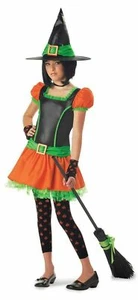 Sassy Pumpkin Witch Costume Tween Size Large 10-12 Dress Hat Leggings Glovettes - Picture 1 of 4