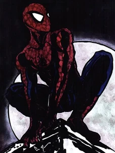 Comic Kunstdruck Spider-Man von Jennison 8,5 x 11 signiert Giclée - Bild 1 von 1