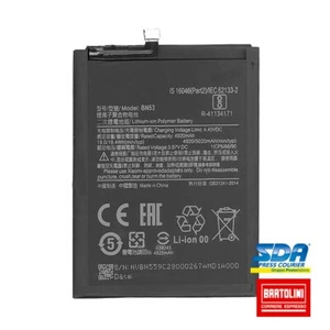 BATTERIA PER XIAOMI BN53 REDMI NOTE 10 PRO M2101K6G M2101K6R 5020mAh - Imagen 1 de 1