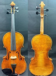 Traje de violín Capriana Gagliano modelo 4/4 VN601 2015 configurado en EE. UU. 62C6CS0028 - Imagen 1 de 23
