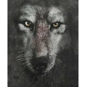 T-Shirt The Mountain Wolf Face Youth XL Gray T-Shirt - Picture 1 of 5