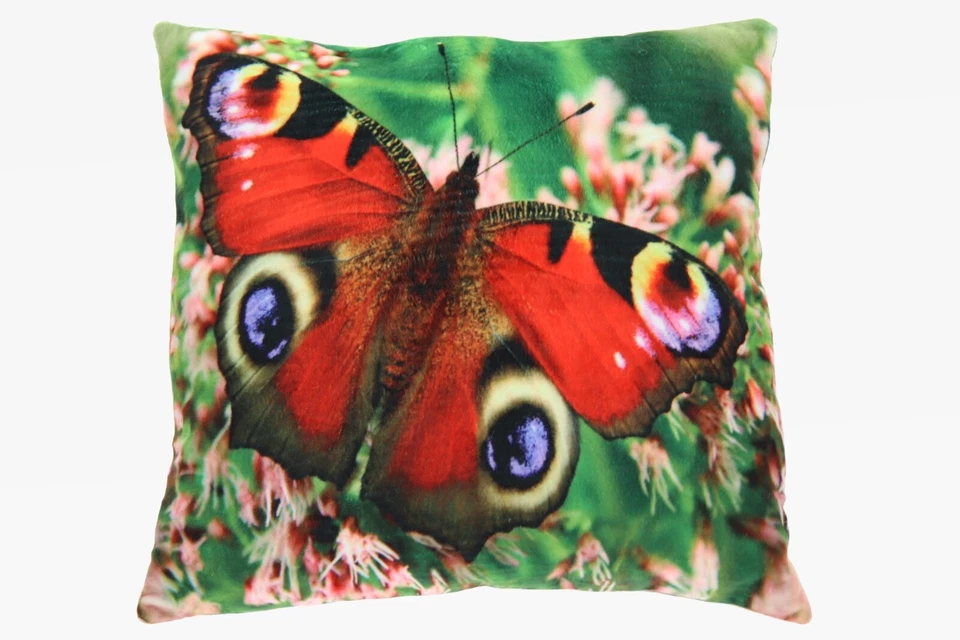 Kissen Motiv Tagpfauenauge Deko Kuschelkissen 35x35 cm 1043059 - Bild 1 von 1