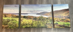 3 Piece Canvas Wall Art. Landscape And Water Scene. 16”x10” and 20”x16” Clean. - Picture 1 of 11