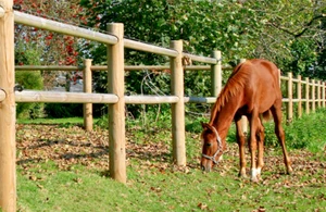 Pferdezaun hochwertig Reitbahnzaun stabil Weidezaun Norm NTR-A Holz Pferd Koppel - Bild 1 von 6