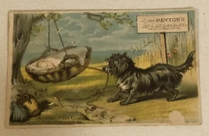 Peyton’s Dog Rocking Baby Calling Card Victorian Trade Card New York VTC1 - Picture 1 of 3