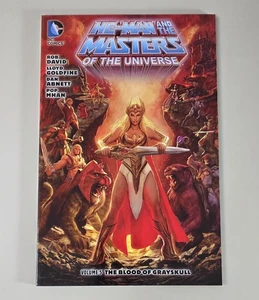HE-MAN & MASTERS OF THE UNIVERSE: BLOOD OF GRAYSKULL  (DC 2015 TPB #5 GN SC)  VF - Picture 1 of 4