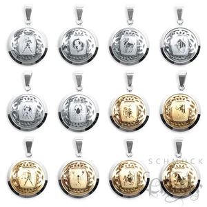 Colgante de acero inoxidable signo zodiacal signo zodiacal oro o plata + cadena de 60 cm - Imagen 1 de 13