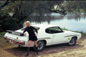 1970 GTO Richter Anzeige (weiß) Poster 24 x 36 Zoll SÜSS! - Bild 1 von 2