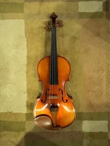 D Z Strad Violin Model 509 - 'Maestro' Old Spruce Stradi 4/4 Antique Varnish - Picture 1 of 4