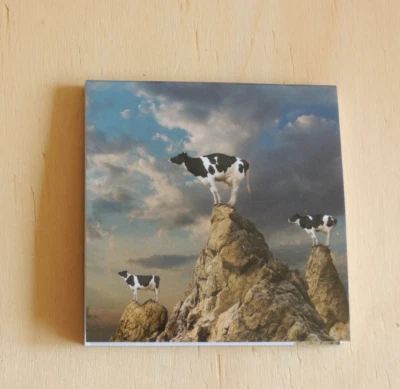 Kühe Kuh  1 x Klebezettel Haftnotizen 50 Blatt Notizzettel Fantasie Tiere - Bild 1 von 3