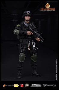 Damtoy 1/6 Chinese People's Armed Police Force Anti-Terrorism Force Figure - Picture 1 of 10