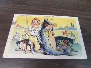 DE COLECCIÓN - AQUÍ ES DONDE LOS PECES SON PECES - PICOTACOS LAGO PA - POSTAL - EN MUY BUENA CONDICIÓN - Imagen 1 de 1