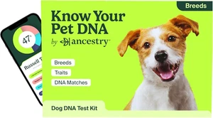 Ancestry Dog DNA Test: At-Home Testing, Breed Identification & Trait Insights, C - Picture 1 of 6