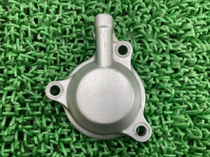 Genuine Yamaha Oil Filter Cover for WR250R/WR250X (DG15J). No cracks or chip... - Picture 1 of 6