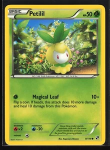 Petilil Black & White #9 BLW(LP)(PKM) - Bild 1 von 1