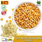Ceylon Popcorn Corn Kernels Original Yellow seeds taste Fresh homemade Sri Lanka