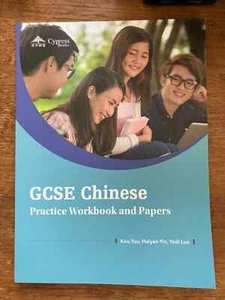 GCSE Chinese Practice Workbook and Papers - Picture 1 of 2