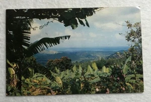 View From The Tropical Rain Forest, El Yunque, Puerto Rico Postcard (E1) - Picture 1 of 2