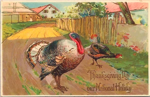 Postcard Thanksgiving Day Our National Holiday Tom Turkey  *AZ51 - Picture 1 of 2