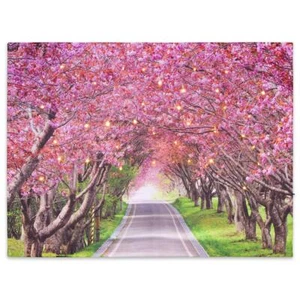 Wandbild mit LED Kunstdruck mit Beleuchtung Allee 30x40 cm Batterie mit Timer - Bild 1 von 7