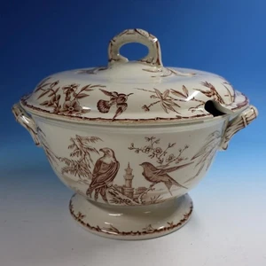 Sopa grande redonda 81/2" década de 1870 Aves Exóticas Ridgway Indus - Imagen 1 de 5