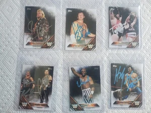 WWE WWF 2016 TOPPS LEGENDS 6 CARD SIGNED LOT NASTY BOYS VIRGIL HTM  AUTOGRAPH - Picture 1 of 4