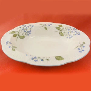 AMERICAN BROOKLINE by Shelley Open Vegetable Bowl NEW NEVER USED made England   - Picture 1 of 3