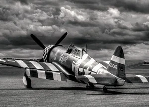 P-47 Thunderbolt Fighter Poster 24in x 36in - Picture 1 of 2
