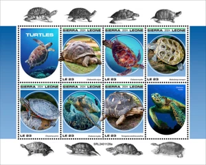 SIERRA LEONE 2024 TURTLES SHEET MINT NH - Picture 1 of 1