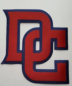 HUGE WASHINGTON NATIONALS IRON-ON PATCH - 6" x 6.75" - Picture 1 of 1