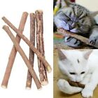 10/20/30PC Catnip cat Sticks Natural Matatabi Silvervine Chew Toy Teeth Cleaning
